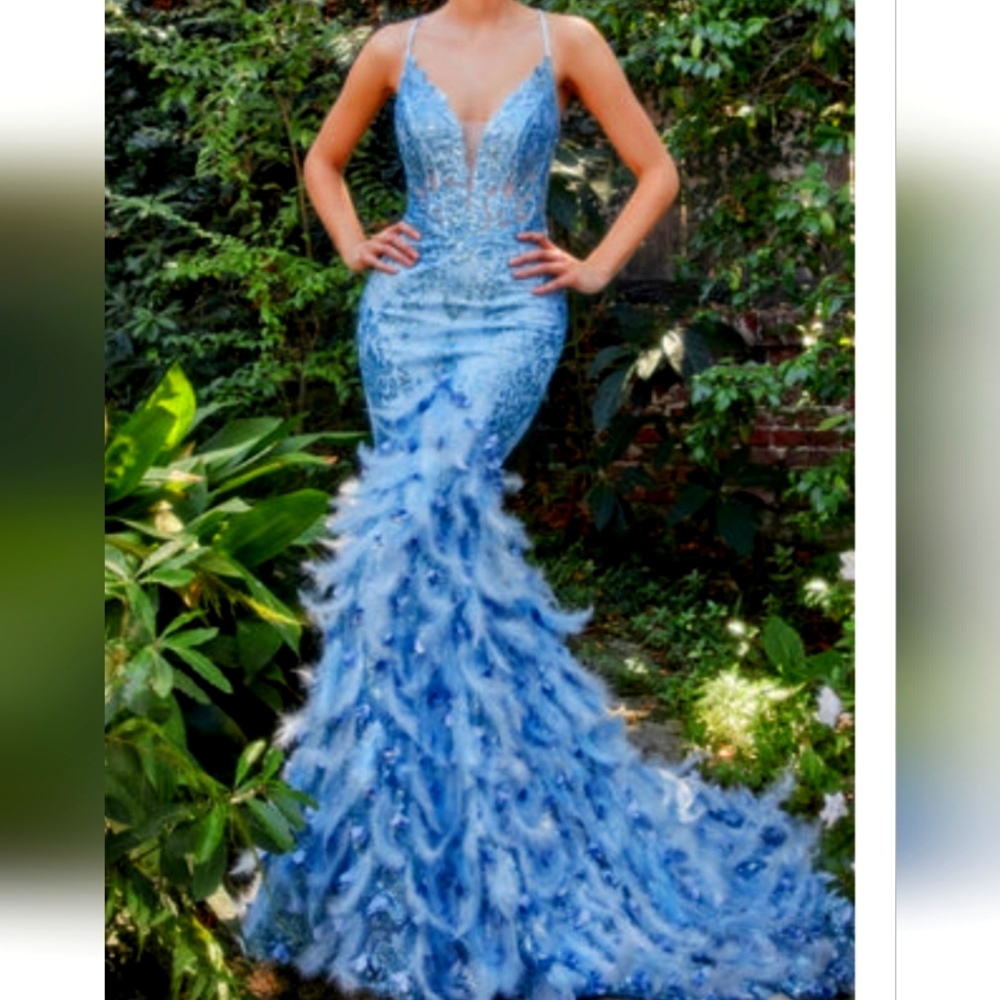 Dress  Peacock feather dress